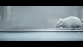 04.gif 04.gif